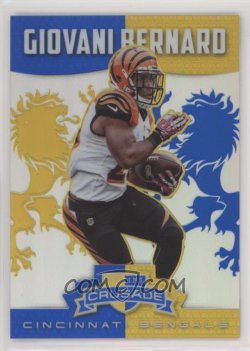2014 Vet Blue Bernard