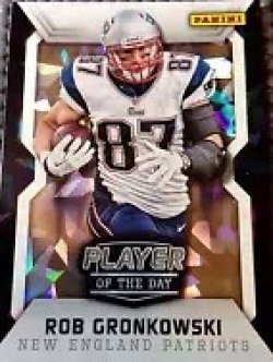 2014 Panini Rob Gronkowski paninipod