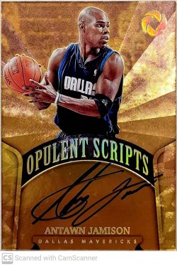    2017-18 Panini Opulence Opulent Scripts Holo Gold #OSAJN #d 10/10