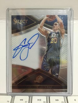 2016 Panini Select Gordon Hayward Signatures