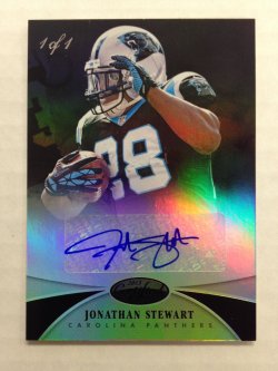 2013  Certifie Jonathan Stew