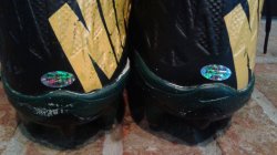 2016 Nike Game Used Cleats Mike Daniels