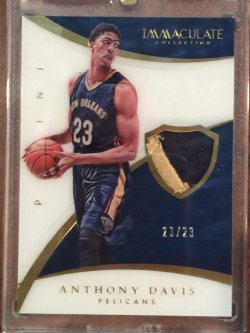 2014 Panini Immaculate  Anthony Davis