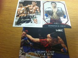    Dominick Cruz 