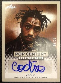 2013 Leaf Pop Century Coolio Auto