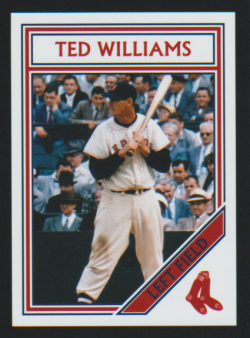    Ted Williams