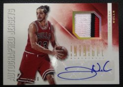 2013 Panini Intrigue  Joakim Noah Prime Jersey Auto 8/10