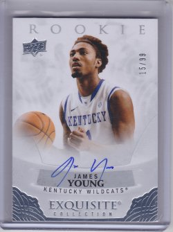 2013-14 Upper Deck Exqusite James Young