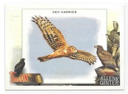 2023 Topps Topps Allen and Ginter Talonted Hen Harrier