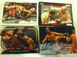    Wanderlei Silva 