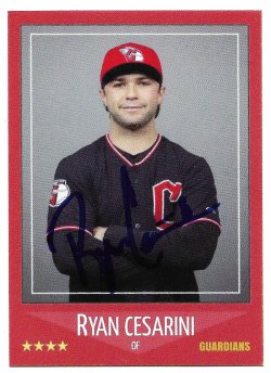 2025  Custom IP Ryan Cesarinil 6/4/25